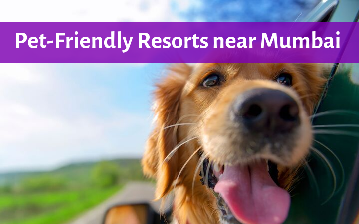 Pet Friendly Resorts Near Mumbai