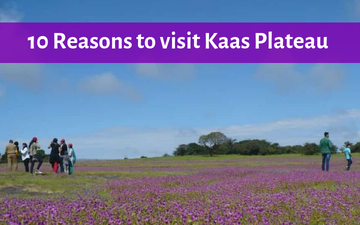 Reasons to visit Kaas Plateau